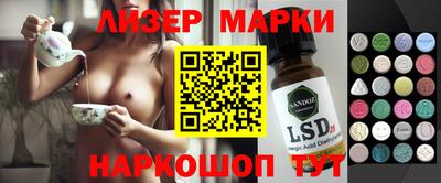 прущие грибы Новодвинск