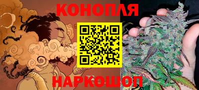 прущие грибы Новодвинск
