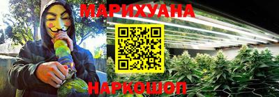 прущие грибы Новодвинск