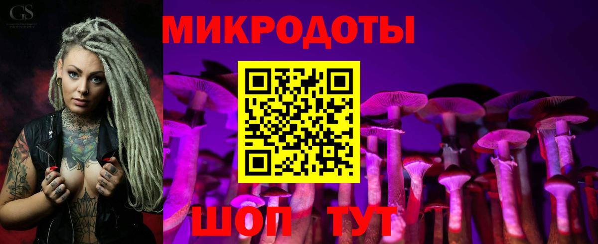 Псилоцибиновые грибы Psilocybe Бахчисарай